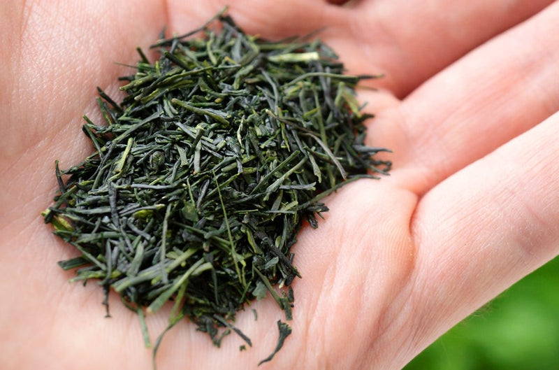 Grüner Tee
