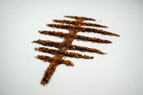 Rooibos Tee