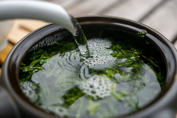 Aufguss von grünem Tee