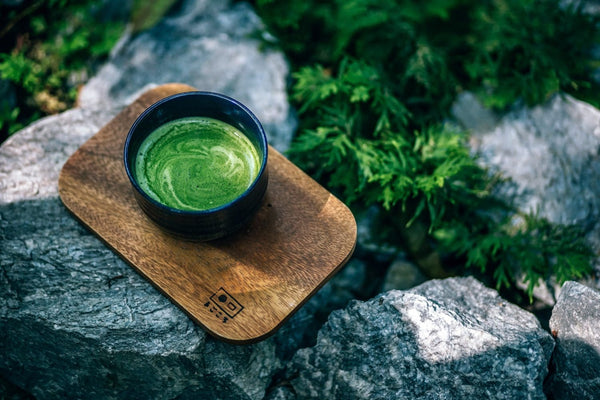 Dunkle Teeschale mit Matcha Tee