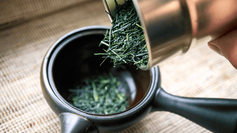 Blätter des Asamushi Premium Sencha