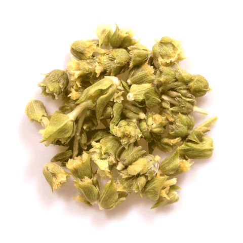 Kräutertee - Griechischer Bergtee - Friends of Tea