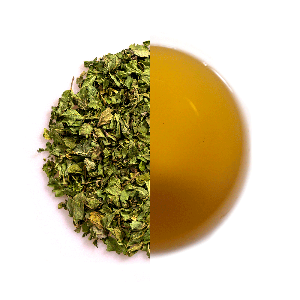 Brennnessel | Natürlicher Brennnesseltee - 100 GRAMM