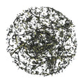 Grüner Tee - Organic Hon Gyokuro Kusanagi - Friends of Tea