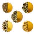 Kräutertee Entdecker Paket - Friends of Tea