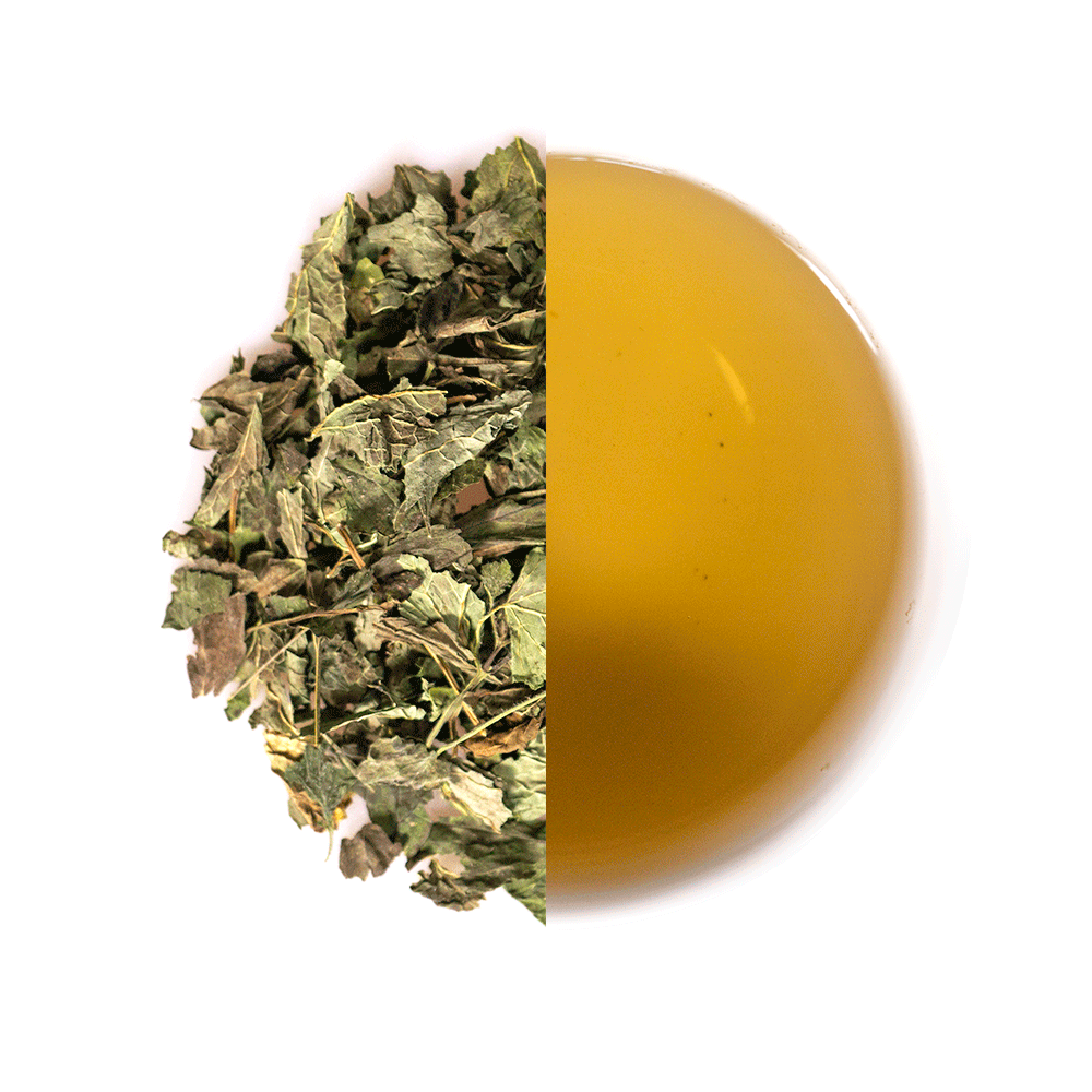 Zitronenmelisse | Natürliche Zitronenmelisse - 50 GRAMM