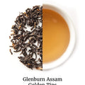 Tee Entdecker Paket - Friends of Tea