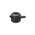 KINTO Kyusu Teekanne 300 ml - Friends of Tea